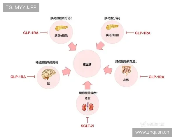 奥塔门迪稳定表现助力球队连胜，防线竞争力增强分析