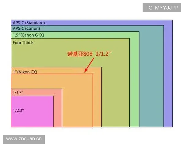 萨卡与福登：英格兰双星成长路径对比分析