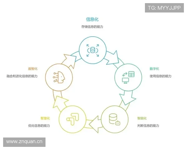 一文讲透技术犯规与违体犯规：两者的核心区别与判罚标准